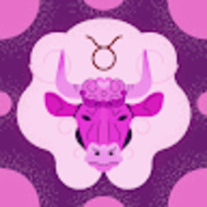 Meet your Posher, Willow